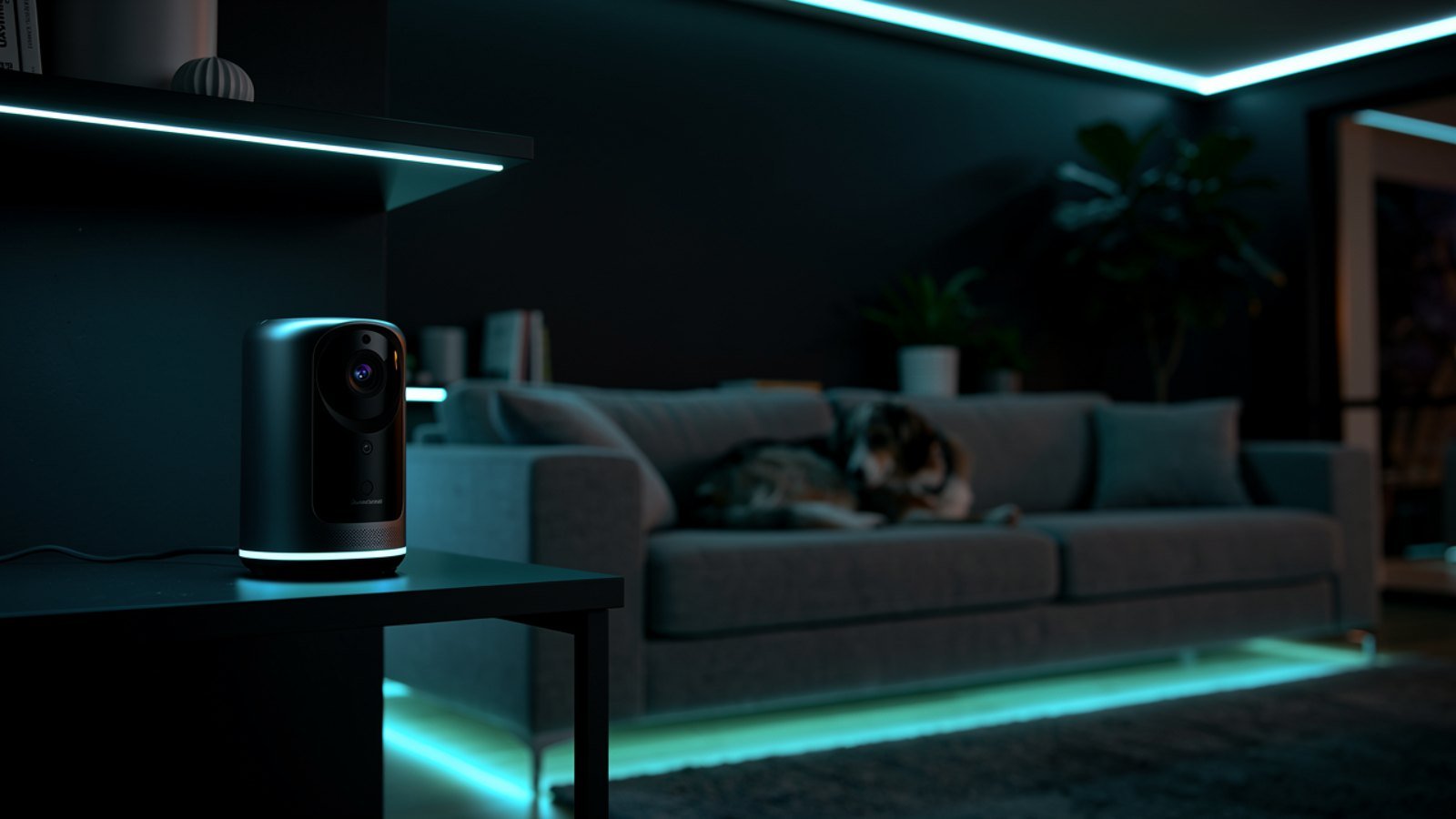 Best Smart Pet Cameras Under $100 for Dogs Home Alone (2026)